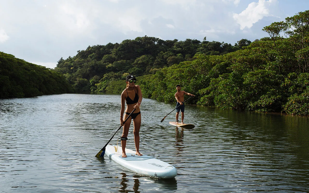 Experience SUP in the great nature of Iriomote Island